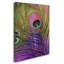 Jadaya «Peacock Candy III» par Color Bakery, impression sur toile tendue-20095421