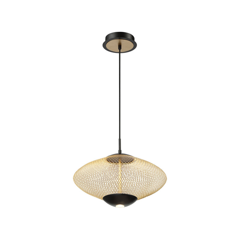Luminaire suspendu sphérique unique à 2 lumières DEL