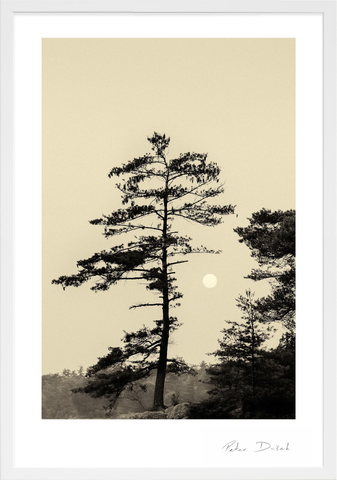 Serenity by Peter Dušek, White, 38" H x 26.5" W x 1.25" D