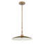 1 luminaire suspendu