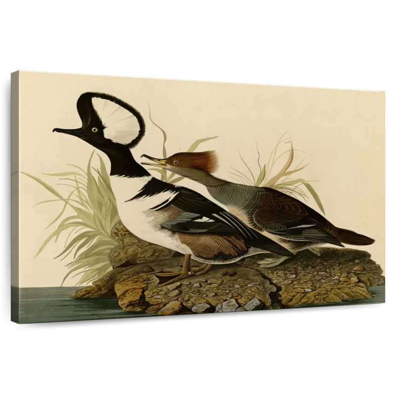 Hooded Merganser, 8" H x 12" W
