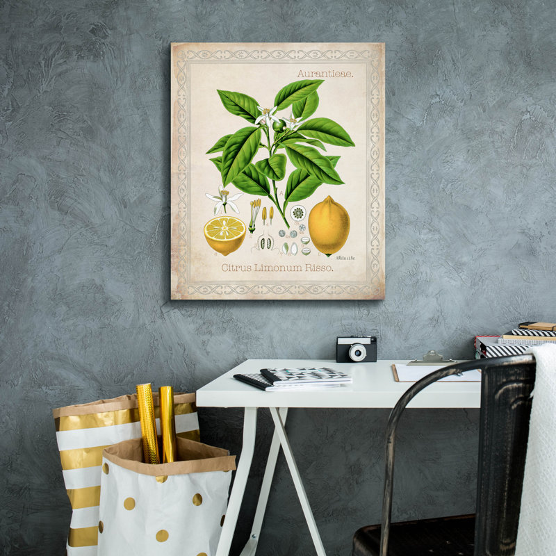 «Citrus Limonum Risso» par Jean Plout, art mural sur toile, H 24 po x l 20 po x P 0,75 po