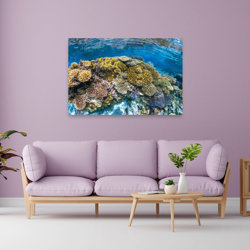 Impression murale Panoreef Ocean Tropical, H 40 po x l 60 po