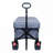Foldable Wagon with Extended Tailgate-118887555