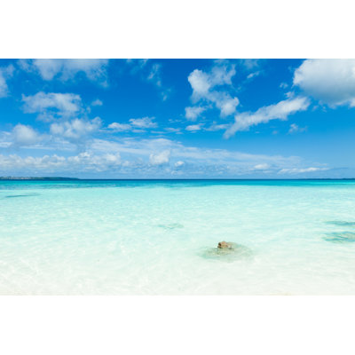 White Sand Coral Beach - Wrapped Canvas Print