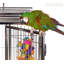 Cage à oiseaux en acier inoxydable de avec roues / roulettes Keeling-1813163982