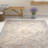 Shultz Oriental Indoor Rug-392864916