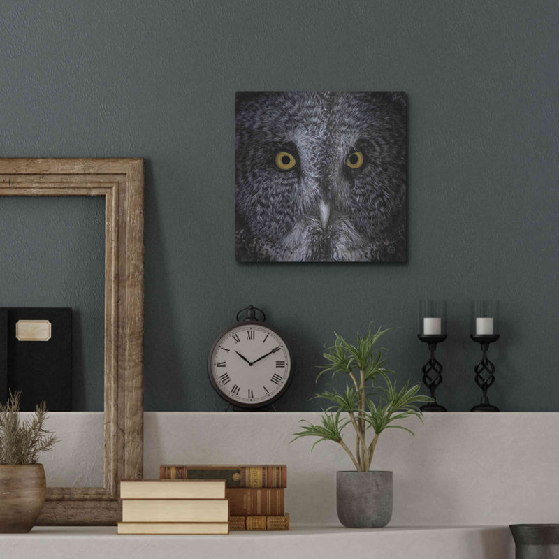 «Great Grey Owl» par Nathan Larson - reproduction de dessin non encadrée, H 12 po x l 12 po x P 0,13 po