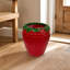 Strawberry Decorative Planter