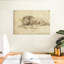 Lion couché Brampt-107851026
