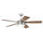Braxton 52'' Ceiling Fan with LED Lights-847043901