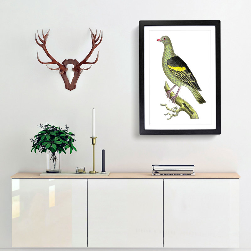 Olive-Green Pigeon by George Shaw - Framed Print, 36cm H x 27cm W x 2cm D, Black Framed