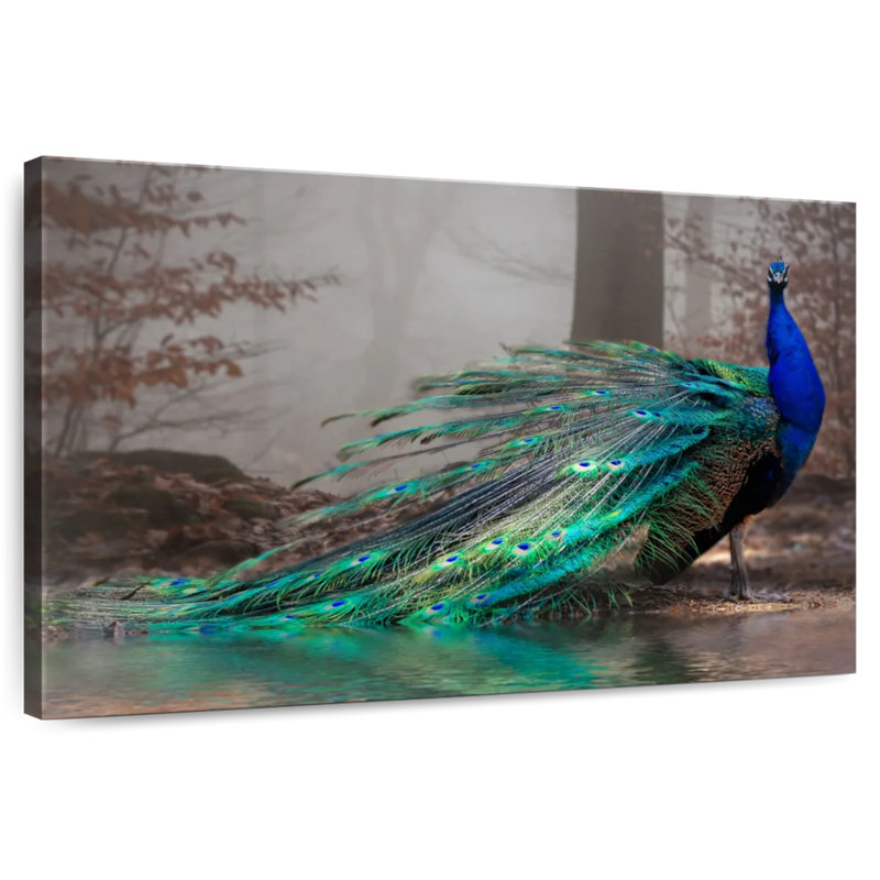 Élégant paon bleu sur toile, H 20 po x l 30 po