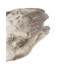 Animals Ceramic / Porcelain Garden Statue