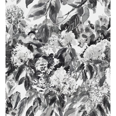 Hydrangea Garden