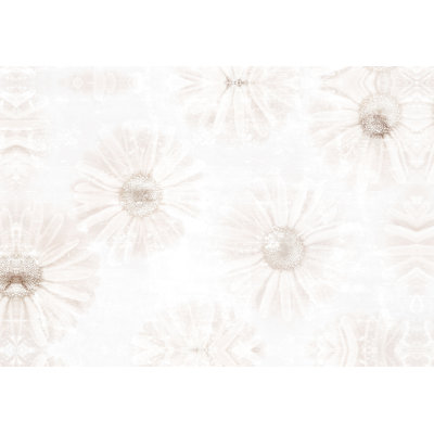 Creamy Toned Daisies - Painting Print