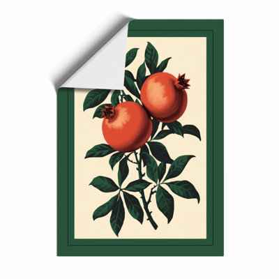 Pomegranate Study Botanical - Print