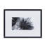 Black And White Palm Leaves B Print