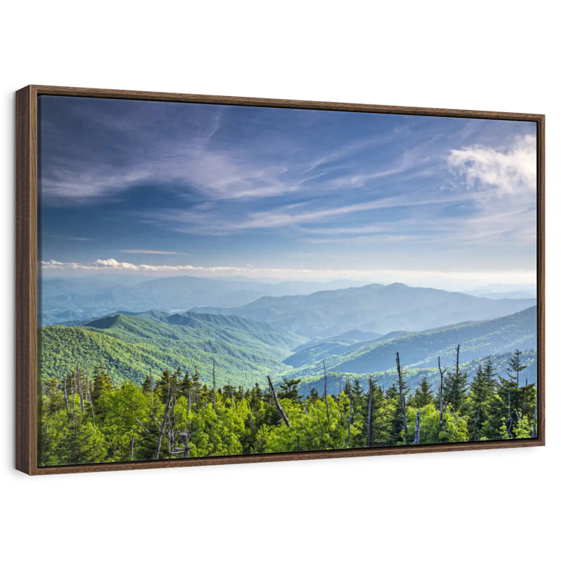 Clingmans Dome Mountainscape, 19" X 13", Floating Frame Walnut