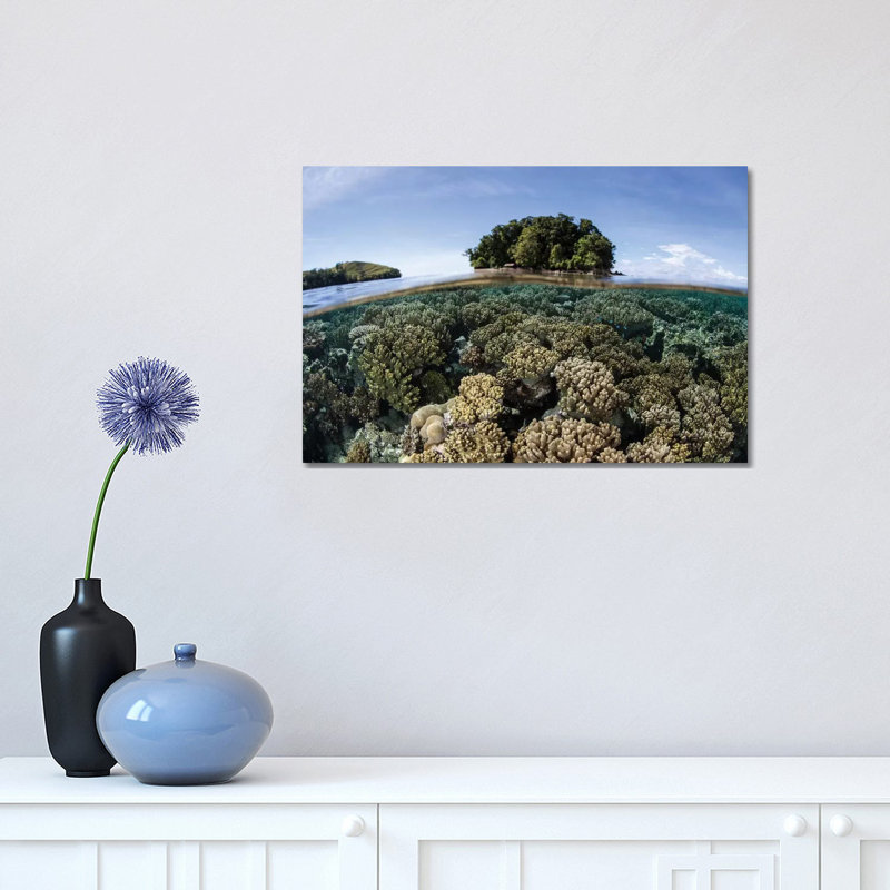 A Healthy Coral Reef Grows In The Solomon Islands III by Ethan Daniels - Wrapped Canvas Print, 30.48 cm H x 45.72 cm W