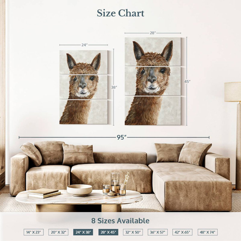 Brampt Suri Alpaca II, H 38 po x l 24 po