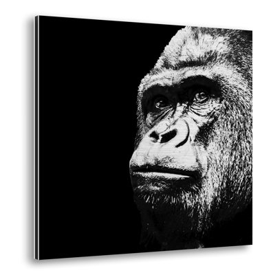 Gorilla - No Frame Print on Metal