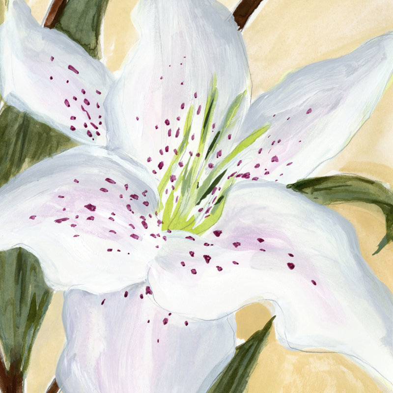 White Lily I by Annie Warren - Wrapped Canvas Painting, 76cm H x 76cm W