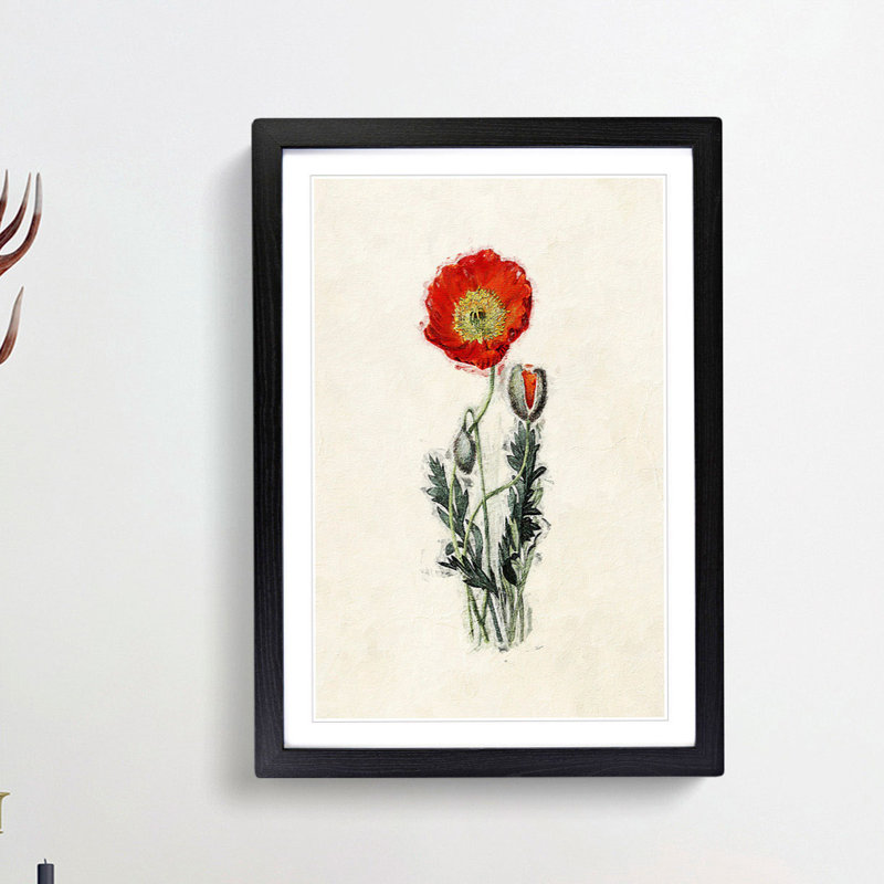 Illustration of a Poppy Flower - Picture Frame Painting Print, 36cm H x 27cm W x 2cm D, Black Framed
