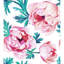 Sheffer 2.5m x 1.04m Matte Mural-179264918