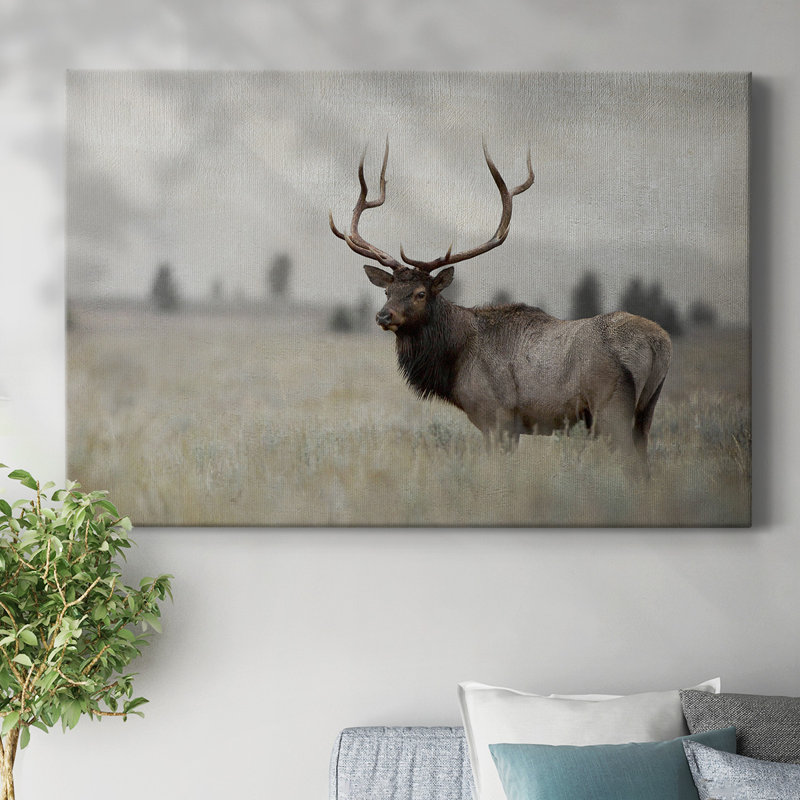 Toile tendue Grand Elk-Gallery, H 12 po x l 18 po