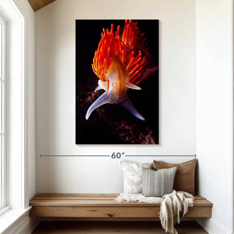 Thick Horned Nudibranch, 48" H x 32" W