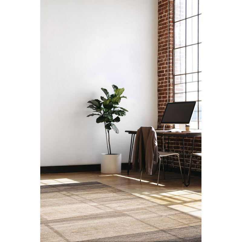 Tapis gris Kashkuli Gabbeh 5 pi 3 po x 7 pi 3 po