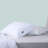Original Collection Pillow, Two Pack-61896484