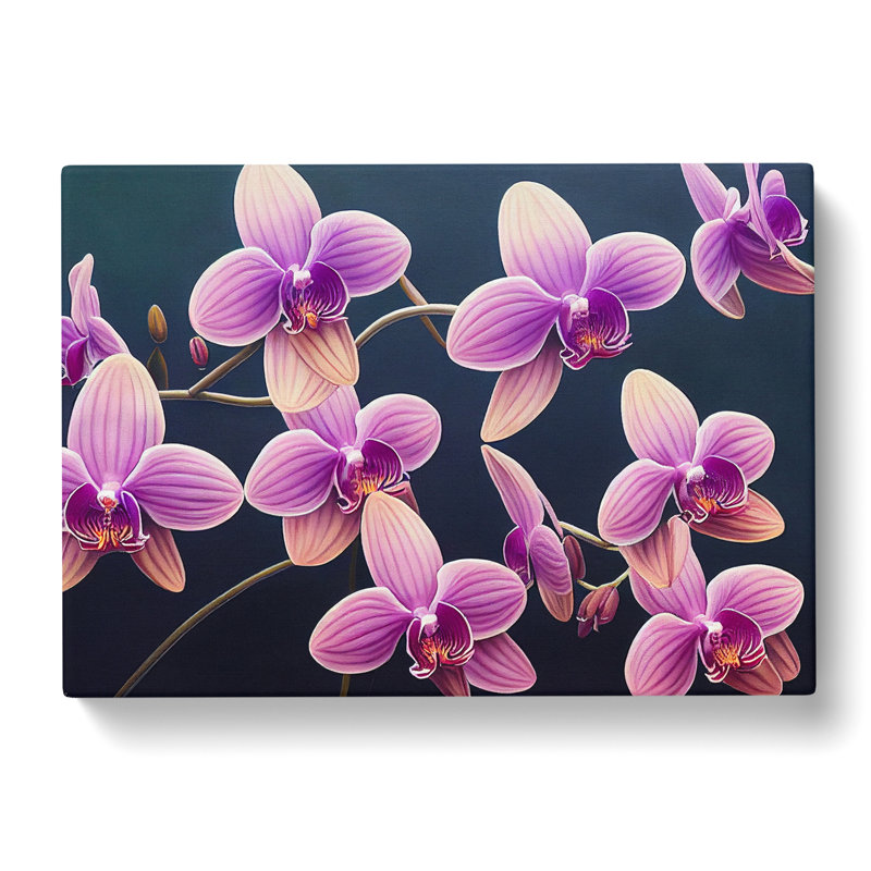 Enigmatic Orchid Flowers - Wrapped Canvas, 50cm H x 76cm W x 3cm D