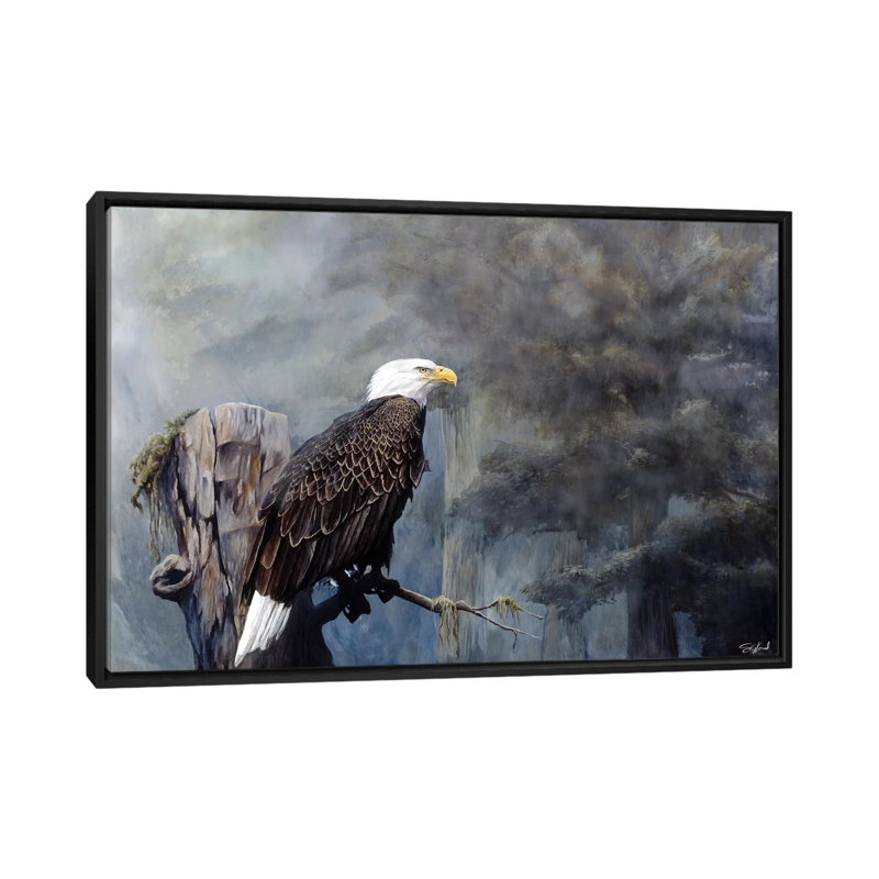 «Freedom Haze», impression sur toile, H 18 po x l 26 po x P 1,5 po, Toile avec cadre noir, Pas de tapis