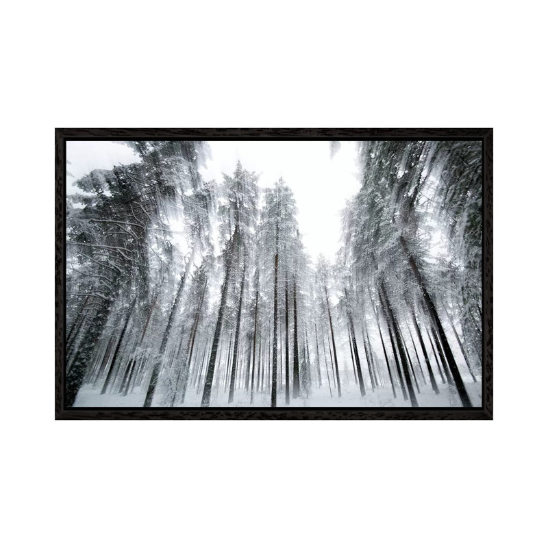 Trees In Motion by Andreas Stridsberg - Gallery-Wrapped Canvas Giclée on Canvas, Black Framed, 101.6 cm H x 66.04 cm W