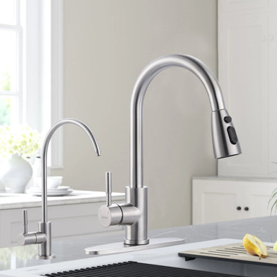 Stainless Steel Kitchen Sink Faucet, Kitchen Faucet And Water Filter Faucet Combination