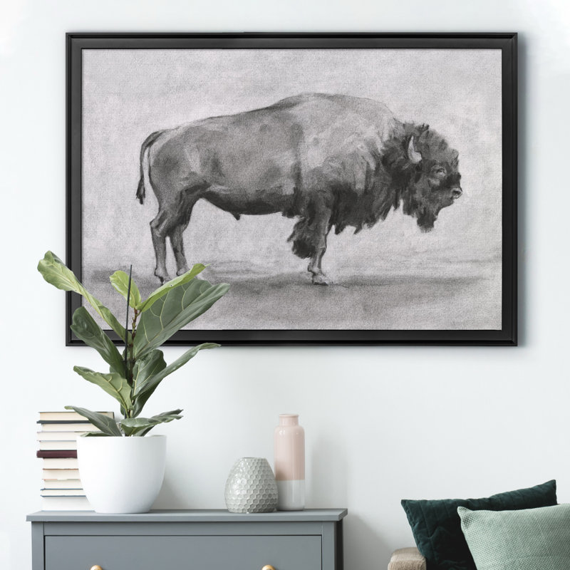 «Wild Bison Study I», impression sur toile encadrée, Noir, H 18,5 po x l 24,5 po x P 1,5 po