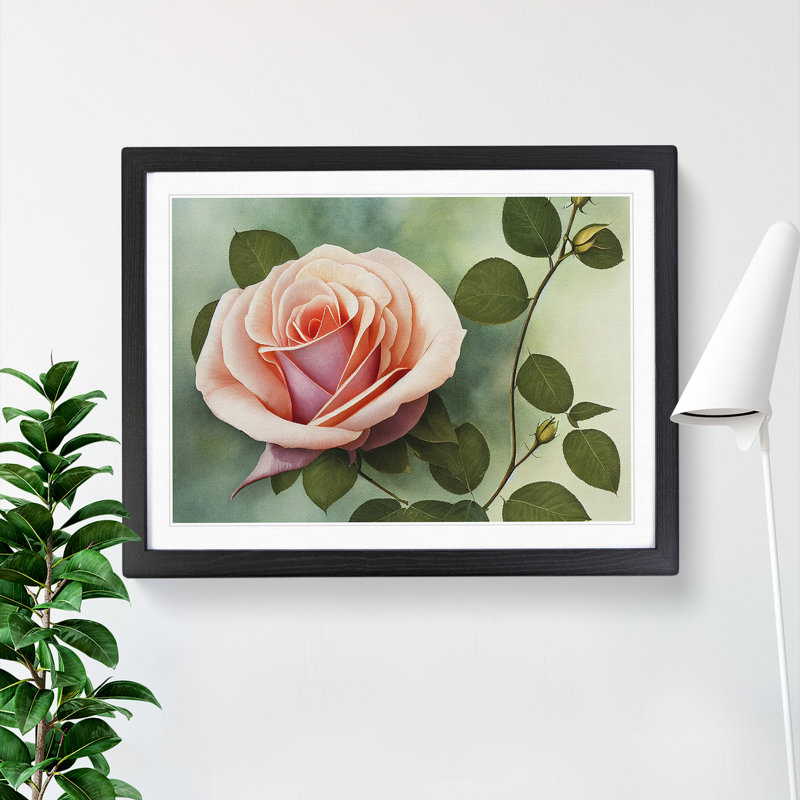Distinguished Rose Flower - Single Picture Frame Painting, Black, 46cm H x 64cm W x 2cm D