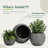 Signature Genest 1-Piece Fiberstone Planter For Indoor/Outdoor-365544818-365544822