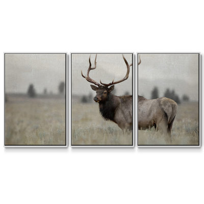 " Grand Elk " 3 - Pieces