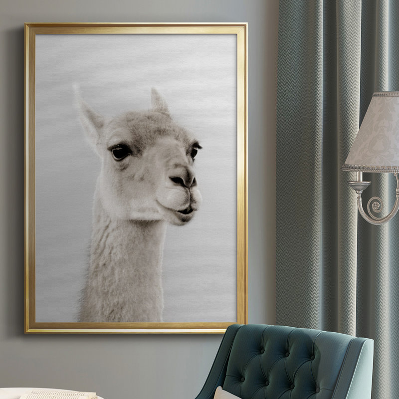 Ahjahnae Soft Llama - seul cadre imprimé, Or, H 42,5 po x l 30,5 po x P 1 po