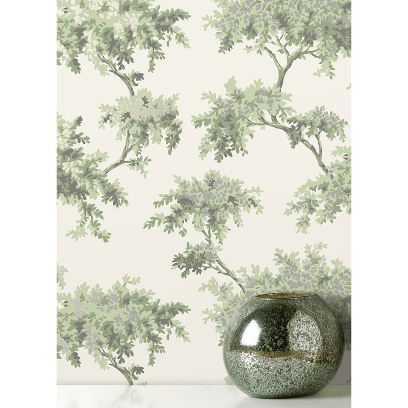Rouleau de papier peint Bridgette Ashdown Tree L 33 pi x l 20,5 po, Sauge