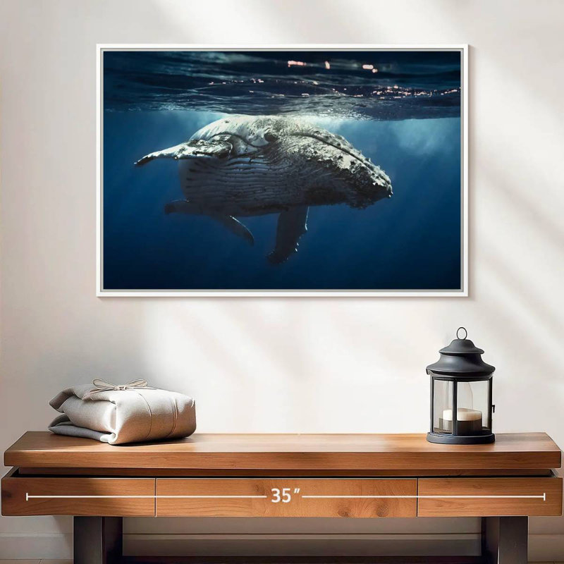 Baleine écumante, 25 po x 17 po, Cadre flottant blanc