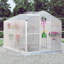 Ajax 6Ft x 10Ft Greenhouse