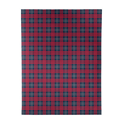 Plaid Indoor Rug
