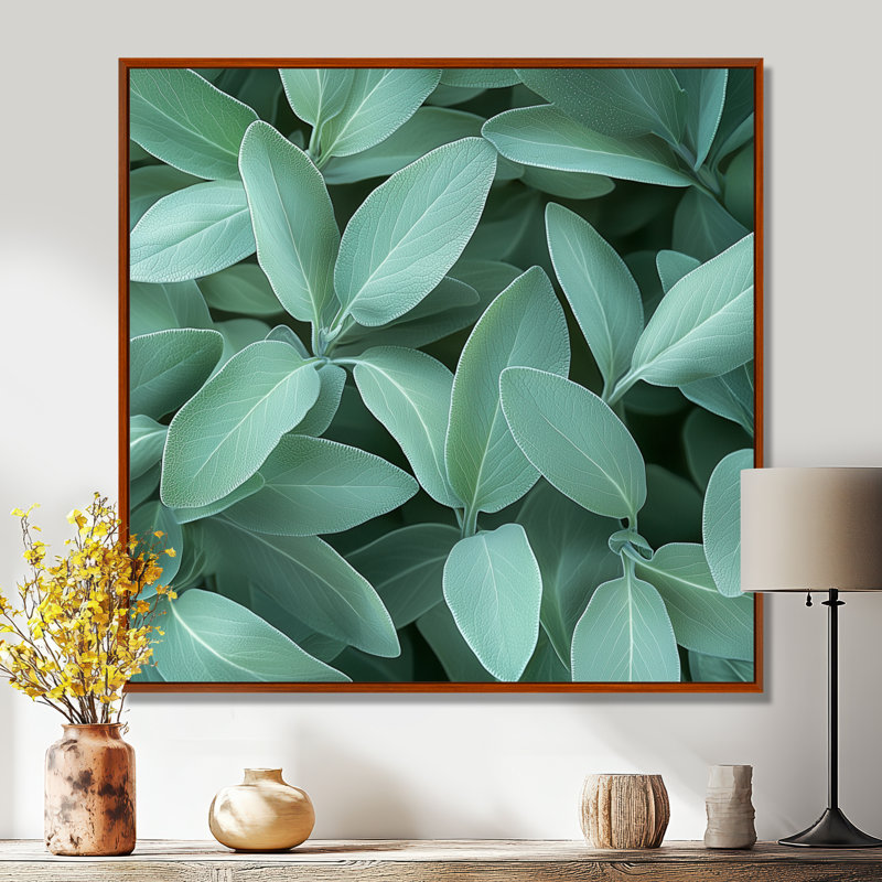 Feuilles de sauge - feuilles, art mural, Impression encadrée flottante, H 36 po x l 36 po, Brun