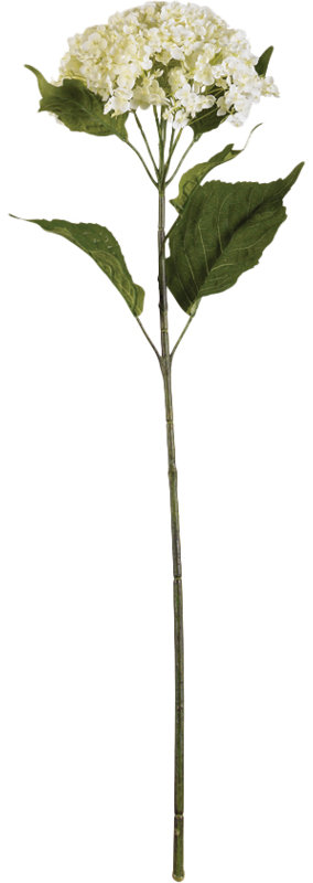 Arrangement