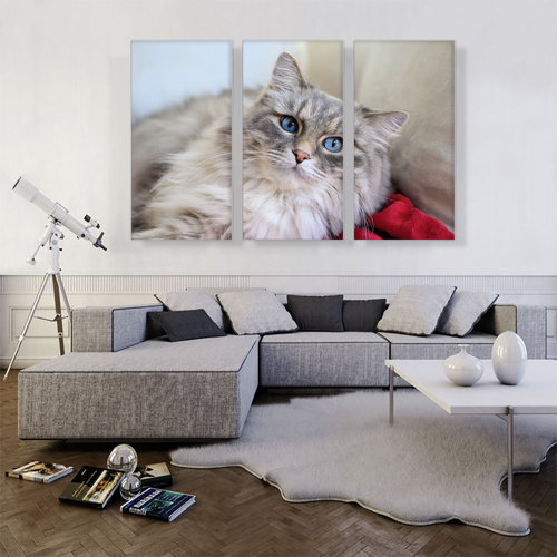 ARTCANVAS Norwegian Forest Cat On Canvas 3 Pieces Print | Wayfair