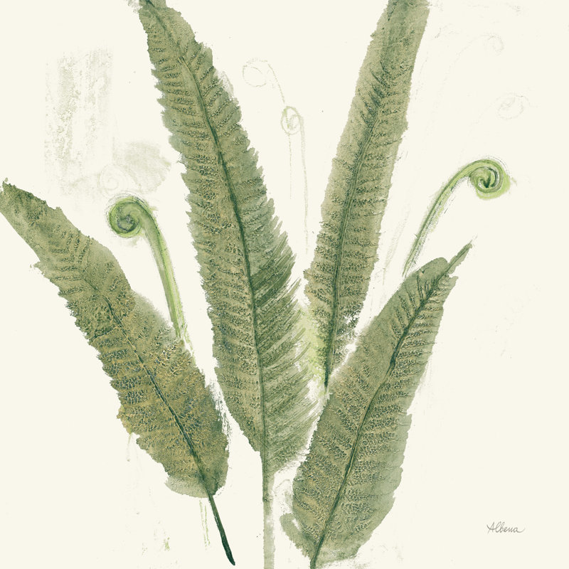 Forest Ferns II Dark by Albena Hristova - Wrapped Canvas Painting, 91cm H x 91cm W